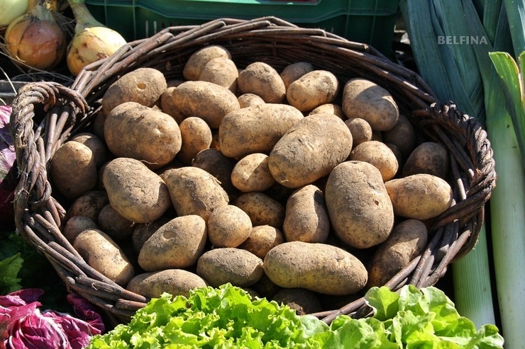Knackig und knusprig